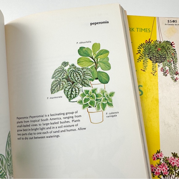 Book of House Plants (1973) - Picture 4 of 7
